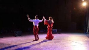 Инна Каменева. Концерт в Армавире