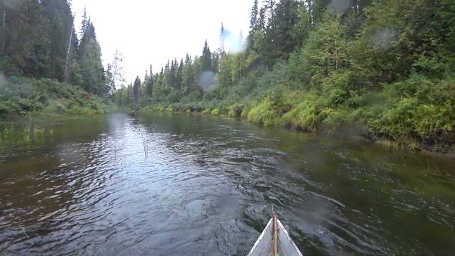 лесные реки севера. рыбалка на спиннинг. быт в избушке.