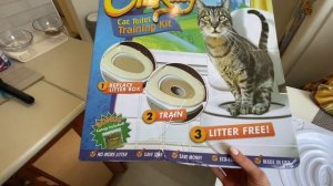 ВЛОГ Кире стало лучше и она порвала дневник / Новый туалет у кота / Мама не разрешает гулять