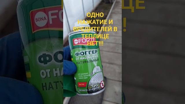 САДОВОДЫ В ВОСТОРГЕ ОТ ЭТОГО СРЕДСТВА! смотреть онлайн