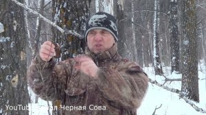 Охота на куницу без капкана / Как выгнать куницу из дупла