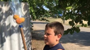 Лайфхак: как собрать абрикос без особых усилий