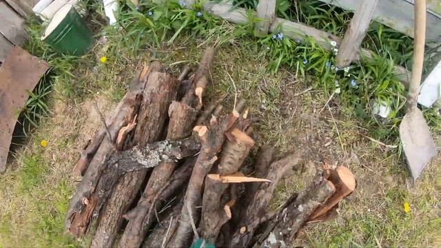 Уборка на даче.Пилим кусты убираем траву и мусор.