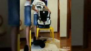 Автокресло Peg-Perego Viaggio 0+/1 Switchable