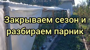 Разбираю парник. Снимаю урожай, показываю землю под пленкой, собираю бутылки-батарейки.