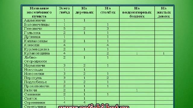 Изучение гнездований аиста