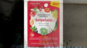 Клематисы: борьба с вредителями