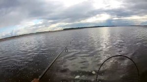 Ловля щуки на спиннинг, река Обь, Сургут, август 2020 года.