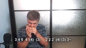 Эх, дороги на губной гармошке