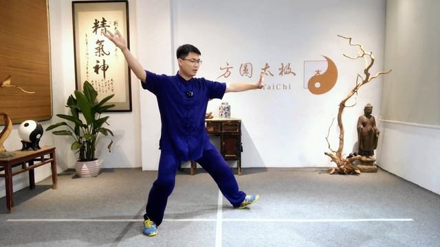 Learn TaiChi with master Ping - Lesson 11 #healthylifestyle #healthandwellness #goodhealth #wellnes