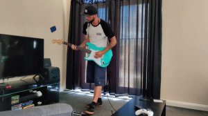 Blink-182- The Rock Show (Guitar Cover)