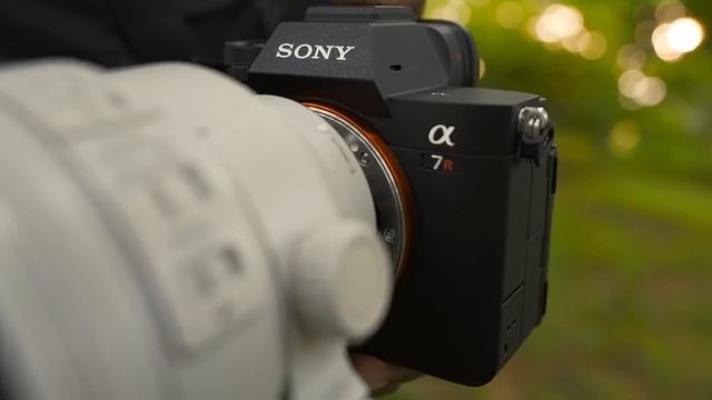 Sony | Super-telephoto Lenses for Wildlife & Insects with Sony Alpha 7R V | α смотреть онлайн