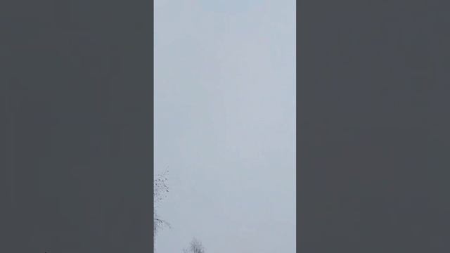 🌨️ Снежное воскресенье