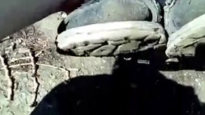 Выросла нога сразу после молитвы