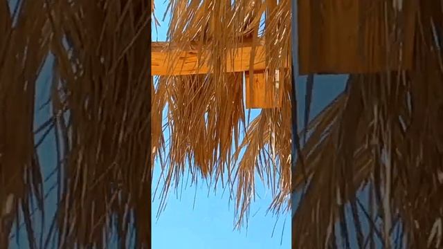 Orange Bay der Hotspot bei Hurghada ?