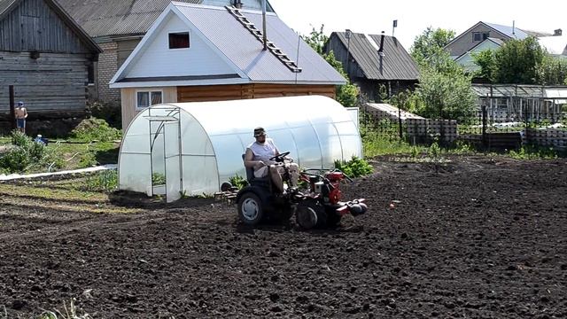 Боронование огорода мотоблоком НМБ-1Н1 "Угра" с ездовым адаптером переломкой.