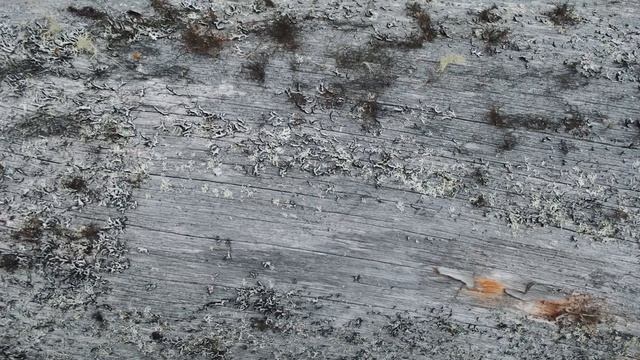 Построили баню на берегу реки! Баня-землянка из Кело 416 м2 с необычной крышей смотреть онлайн