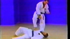 Окинавское каратэ Годзо рю 1