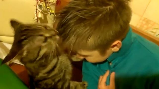 И не надо голову мыть ) смотреть онлайн