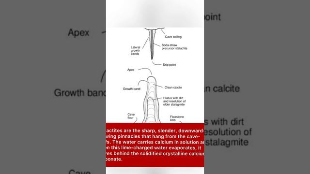 Stalactites Caves… Karst Topography #geography #wonders