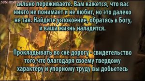 К чему снится Дорога сонник, толкование сна