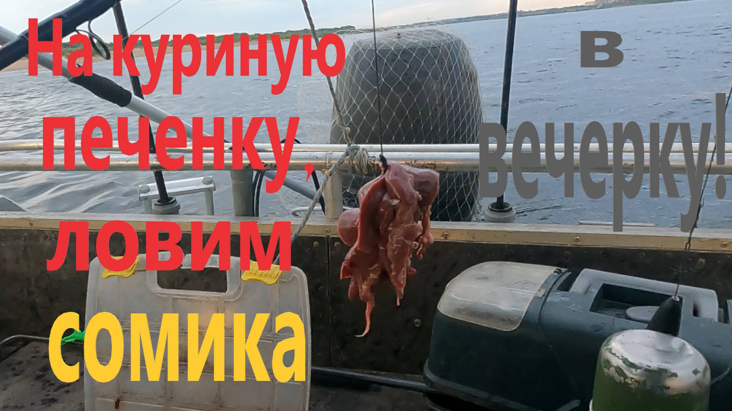 Рыбалка на сома на Волге Волгоград. смотреть онлайн