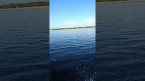 Лодка крым+сиа про15л.с 4х.т.