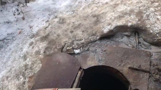 MAN ассенизатор. На сливе берут анализ ?