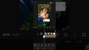 КАК НАЛОЖИТЬ ГОЛОСОВОЕ СМС НА СТОРИС