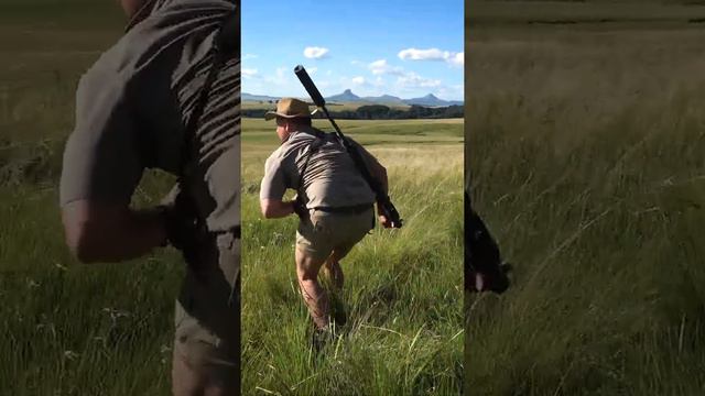 Hunting Grey Rhebuck, Vaal Ribbok in the Drakensberg Pt1!! #Short