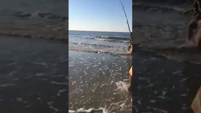 Акула весом 45 кг! смотреть онлайн