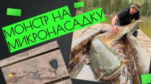 Вываживания монстра!Львово удивляет.