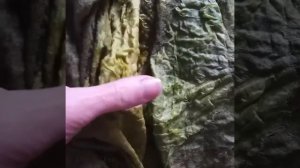 Валяние, felting. Пальто в технике "мокрое валяние"