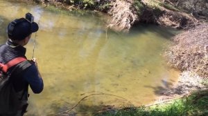 Ленок ,Сима на воблеры Приморье.