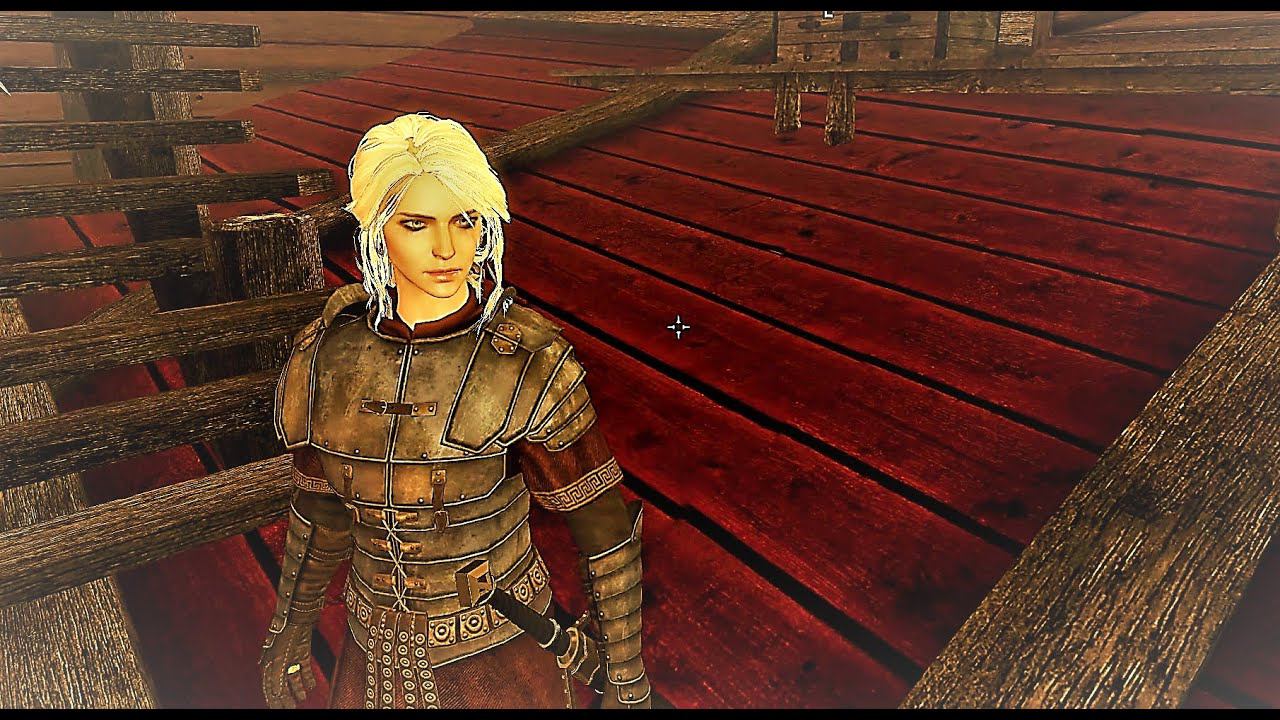 Кровь эльфов . Допрос Эленвен. Часть 2