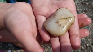 Ковчежек 2023