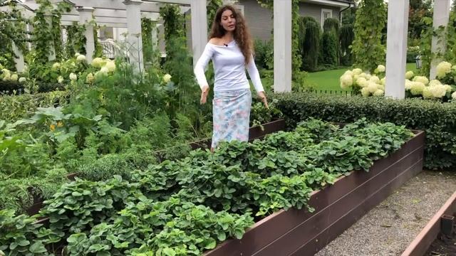 #огород | Огород с высокими грядками своими руками. смотреть онлайн