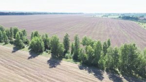 Сухая Лубна и предприимчивые и находчивые животноводы....