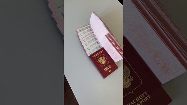 Получаем ваши паспорта с китайскими визами #визавкитай