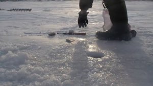 Ленок на балансир, зимняя рыбалка