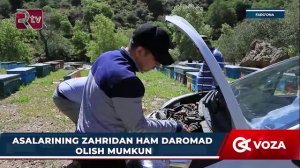 Asalarining zahridan ham daromad olish mumkin