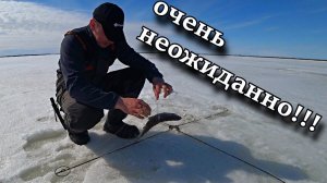 рыбалка хапугами  закрытие зимнего сезона 20222023