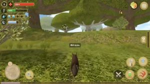 СИМУЛЯТОР БЕЛКИ 2 ОНЛАЙН НА АНДРОИД ОБЗОР SIMULATOR SQUIRREL 2 ONLINE ANDROID GAMEPLAY