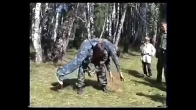 Новый вид единоборств  стиль пьяного медведя смотреть онлайн