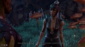 Baldur's Gate 3 - Полуорк варвар Доброгиб для Шэдоухарт