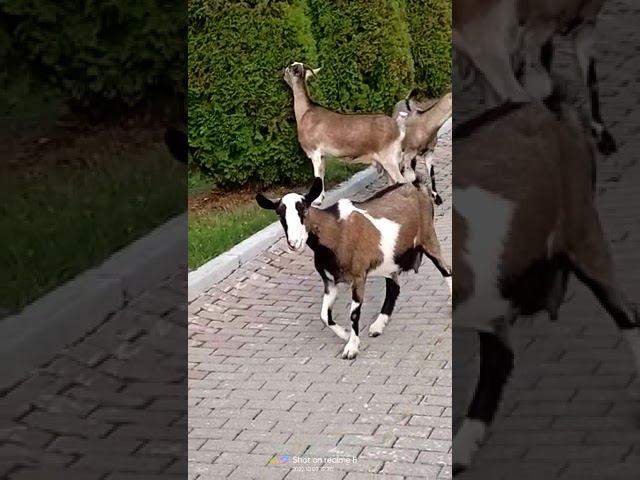 7 октября 2022 г. смотреть онлайн