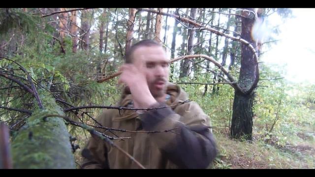 Существует ли коллективный разум? смотреть онлайн