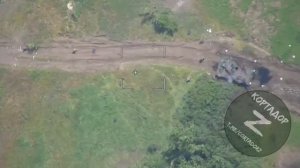 Хохло опоссумы