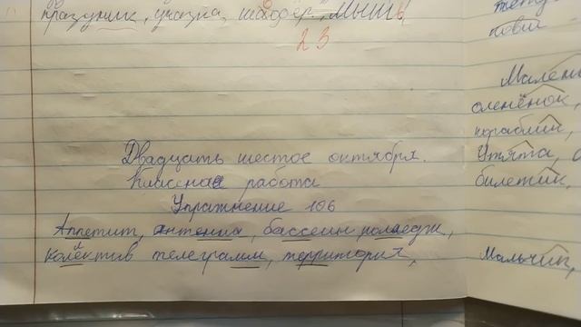 Проверяю рабочие тетради по русскому языку - 4 класс #15 смотреть онлайн