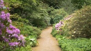 Munich Botanical Garden. Road trip in Europe.